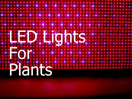 植物用LED製品