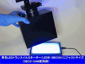 青色LEDトランスイルミネーター（LEDB-SBOXH）にジャストサイズ（SBOX-CAM使用例）