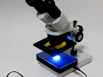実体顕微鏡用470nm蛍光透過光源ユニット