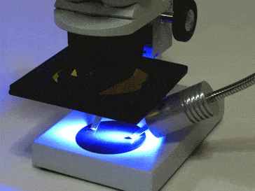 実体顕微鏡用470nm蛍光落射光源ユニット